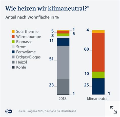  Viherkäärme:  Tuntuisiko Jännittävältä Löytää Kuoriutuvina Pieniä Viherkameja Sademetsän Lattialta?