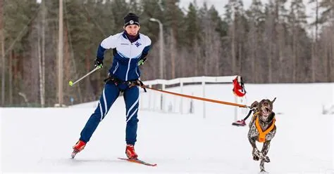  Ruohoksammarisko: Ei ole ollenkaan harvinaista, että tämä pienikokoinen ja nopea sammakko on kätkeytynyt piiloon heinikkojen syvyyksiin!