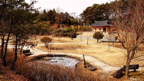 담양 관방제림: 자연과 역사의 조화를 찾아서