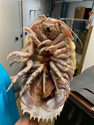 Giant Isopod: Elävä fossiili syvyyksistä, joka muistuttaa jotain avaruudesta!