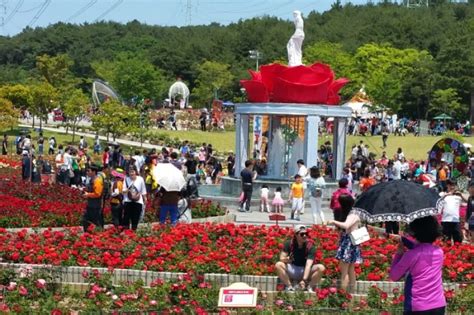 울산대공원 장미축제: 꽃과 사람이 만나는 색다른 이야기